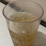 Kaiteirou Hinabe - ＧＩＮＧＥＲ　ＡＬＥ