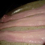 北新地やまがた屋 - 小腸生