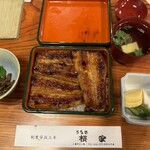 Unagi Sakuraya - 