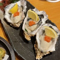 魚竹 - 