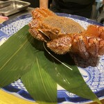 Katsu Kani Ichi - 