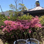 フードトラック（レッド） - フルーツ赤ワイン(ベリー)フルーツ白ワイン(ピーチ) 900円