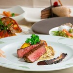 ベラ・ルーサ - 