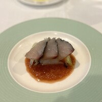 Pigeon - 