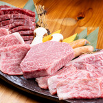 Special Yakiniku (Grilled meat) platter