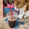 ヒロ コーヒーファーム