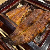 にょろ助 銀座 - 