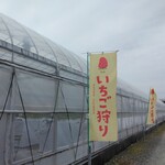 まんまイチゴ園 - 