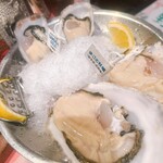 Oyster Bar ジャックポット - 