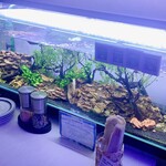 aquarium dining サカナノセカイ - 