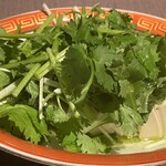 ゴールデンタイガー - 