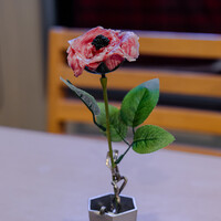 肉寿司 イタリアンバル 閂 心斎橋店 - 