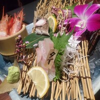 かんてきや 要 - 