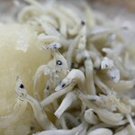 寿司と焼き鳥 大地 - しらすおろし