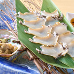 Grilled fresh abalone sashimi