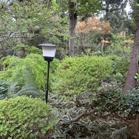 鎌倉山 本店 - 
