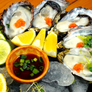 ★Weekday-only Oyster fair in progress★ Fresh Oyster offered at fair prices!