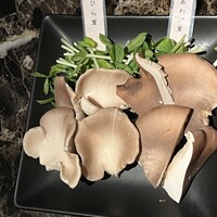 Shangri-La's secret ROPPONGI - 