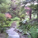 ELM GARDEN - 日本庭園