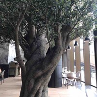 ジャヌ メルカート - 