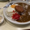 カレー専門店 横浜 - 料理写真: