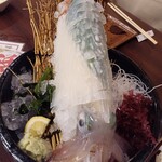 呼子活イカ さかなや道場 - 