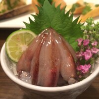 藤よし 堺駅前店 - 