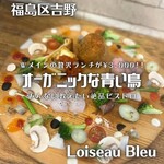 Loiseau Bleu  - 