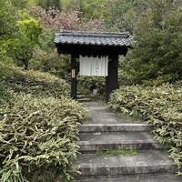 洋食 つばき - 