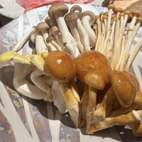 最飛び飛騨牛 しゃぶすき家 馬喰一代 名古屋WEST - 