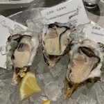 Oysterbar & Wine BELON - 