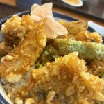 Tendon Tenya - 