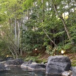 柳生の庄 - 竹林と紅葉に囲まれた　露天風呂