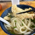 Sanshuu Teuchi Udon Garyuu - 