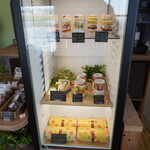 masa coconilr - 
