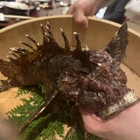 新中国料理HARAKAWA 北新地店 - 