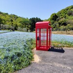 炭火焼うなぎ 東山物産 - ネモフィラと赤い電話ボックス　