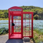 炭火焼うなぎ 東山物産 - 