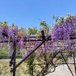 炭火焼うなぎ 東山物産 - 藤