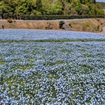 炭火焼うなぎ 東山物産 - 