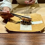 明寂 - 滋賀岩魚の絹巻き寿司