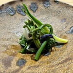 明寂 - １２種山菜の煮浸し　鰹と昆布の出汁で全て別々に炊いたもの