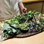 明寂 - 本日の山菜は12種