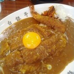 白銀亭 - トンカツカレー  (福神漬け・オニオンスライス添え)