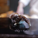 Sushi Sanshin - ●泉佐野産鳥貝