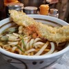 そばうどん松本 - いか天うどん。