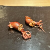 匠　達広 - 