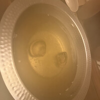 桑名蛤料理・蛤しゃぶしゃぶ 貝新 - 