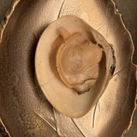 桑名蛤料理・蛤しゃぶしゃぶ 貝新 - 