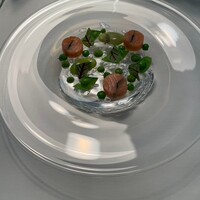 Plaiga TOKYO - 